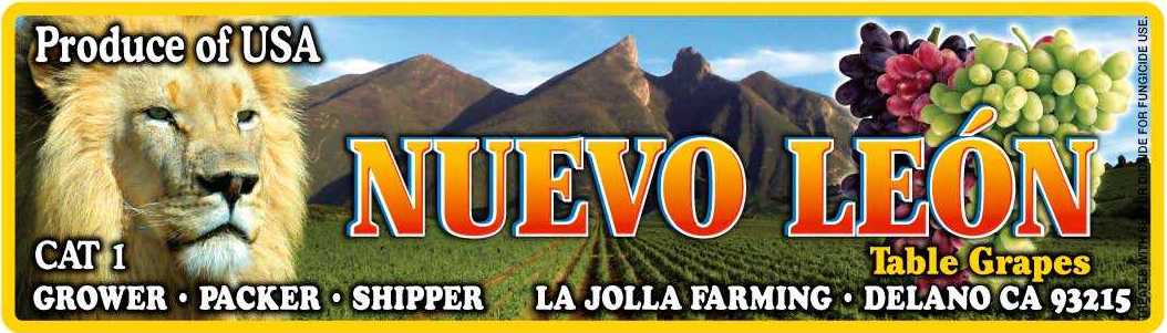NuevoLeon
